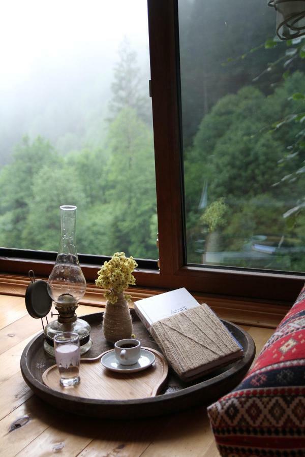 Ayder Imamoglu Apart Otel 외부 사진